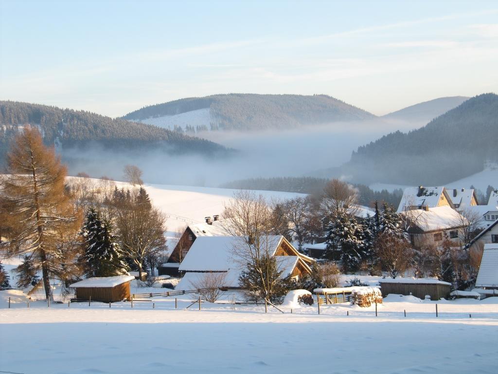 Landhaus Zur Linde Apartment Winterberg Room photo